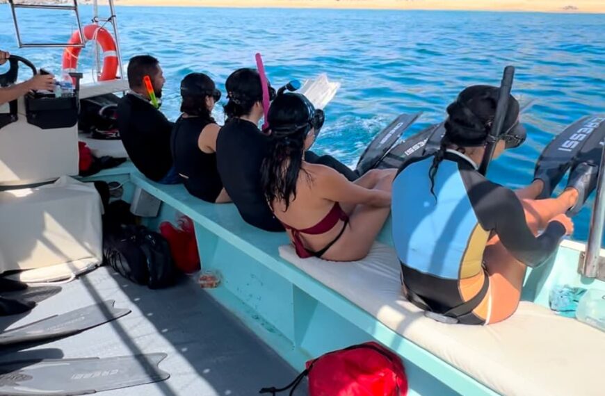 Ocean Safari in La Ventana: A family Friendly Adventure