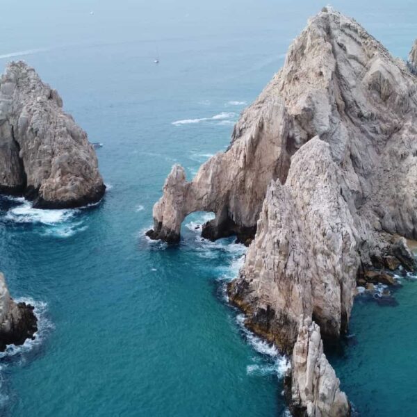 The Complete Guide to Scuba Diving in Cabo San Lucas