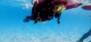 buceo principiante los cabos