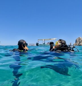 expediciones buceo snorkel safaris y ballenas