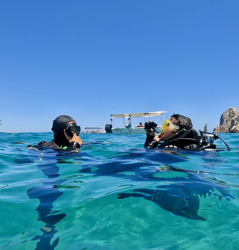 expediciones buceo snorkel safaris y ballenas