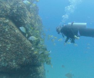 begginer scuba diving cabo