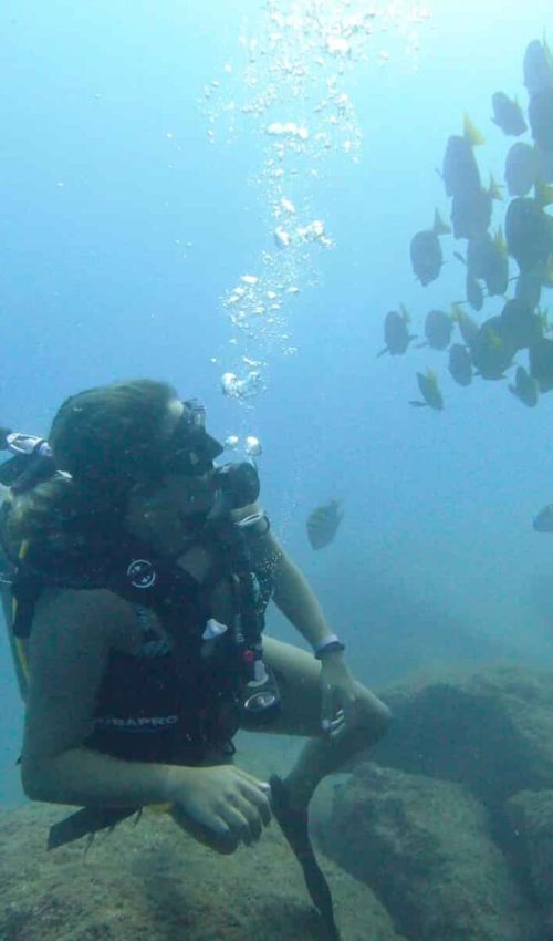 cabo discover scuba diving