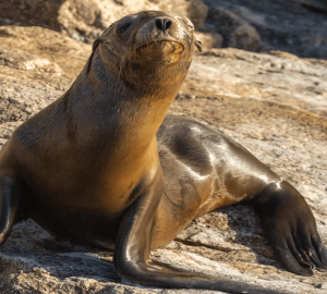image_2024_02_03T04_52_11_358Z-scaled-e1707996608984 (1) image_2024_02_03T04_52_11_358Z-scaled-e1707996608984 (1)